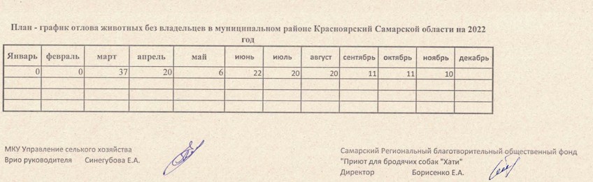 График отлова безнадзорных животных образец