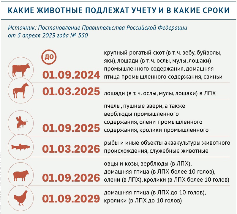 02-Хорриот-3.jpg