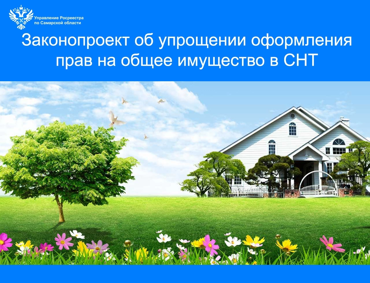 15_общее имущество в СНТ.jpg