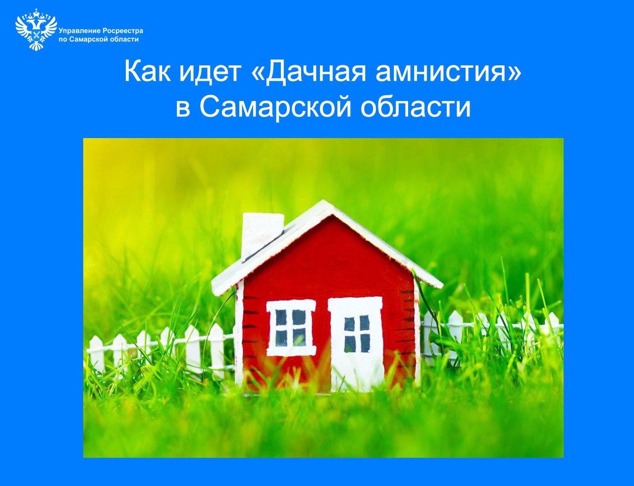 25_Дачная амнистия.jpg