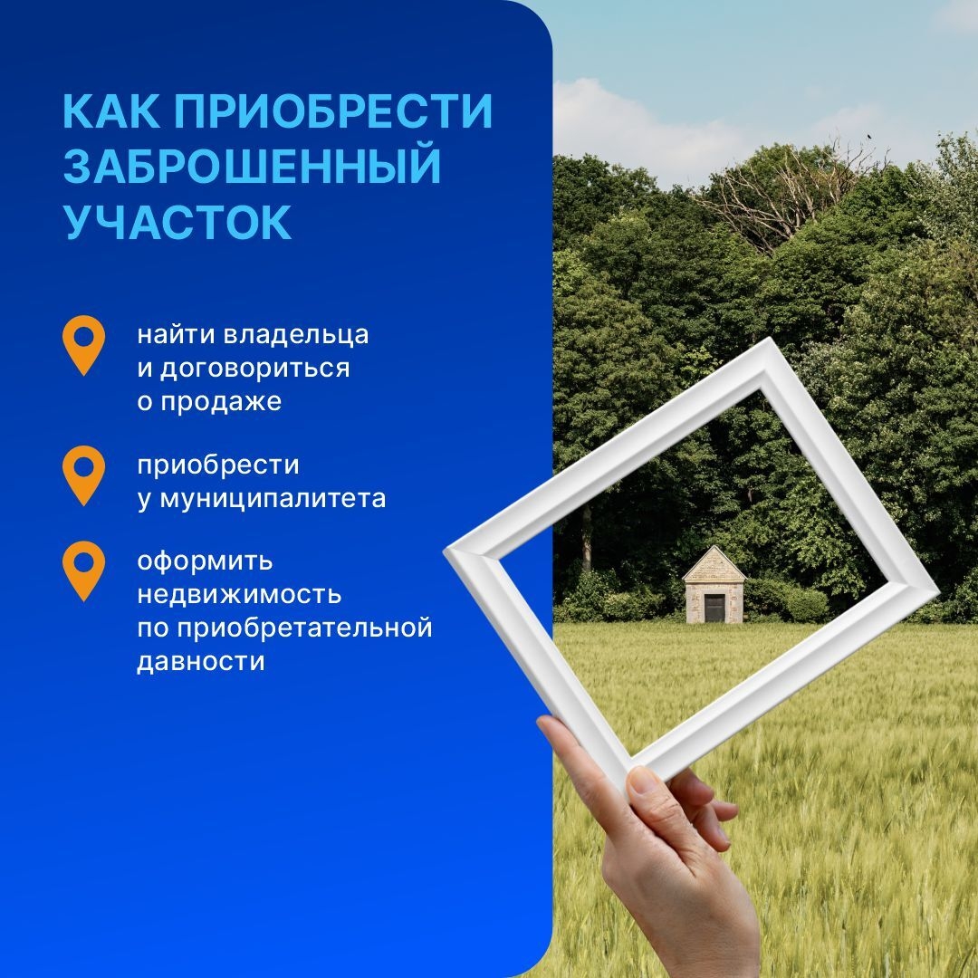 Заброшенные дачи — нередкое явление в садоводческих товариществах.