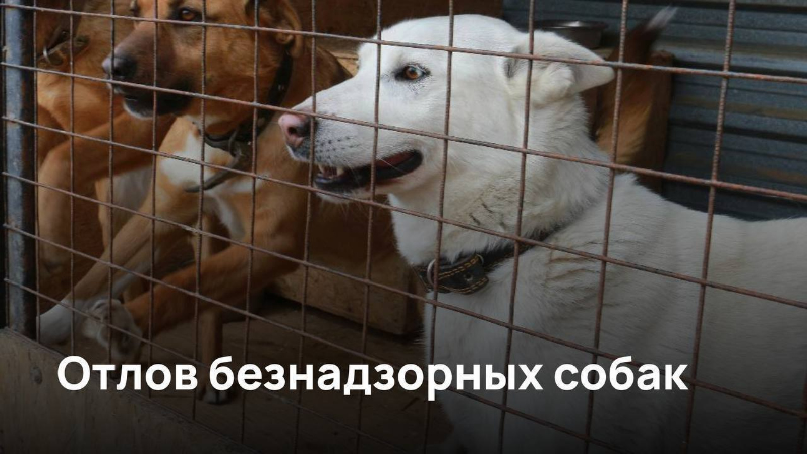 ВНИМАНИЕ!!! ВАЖНАЯ ИНФОРМАЦИЯ!!!