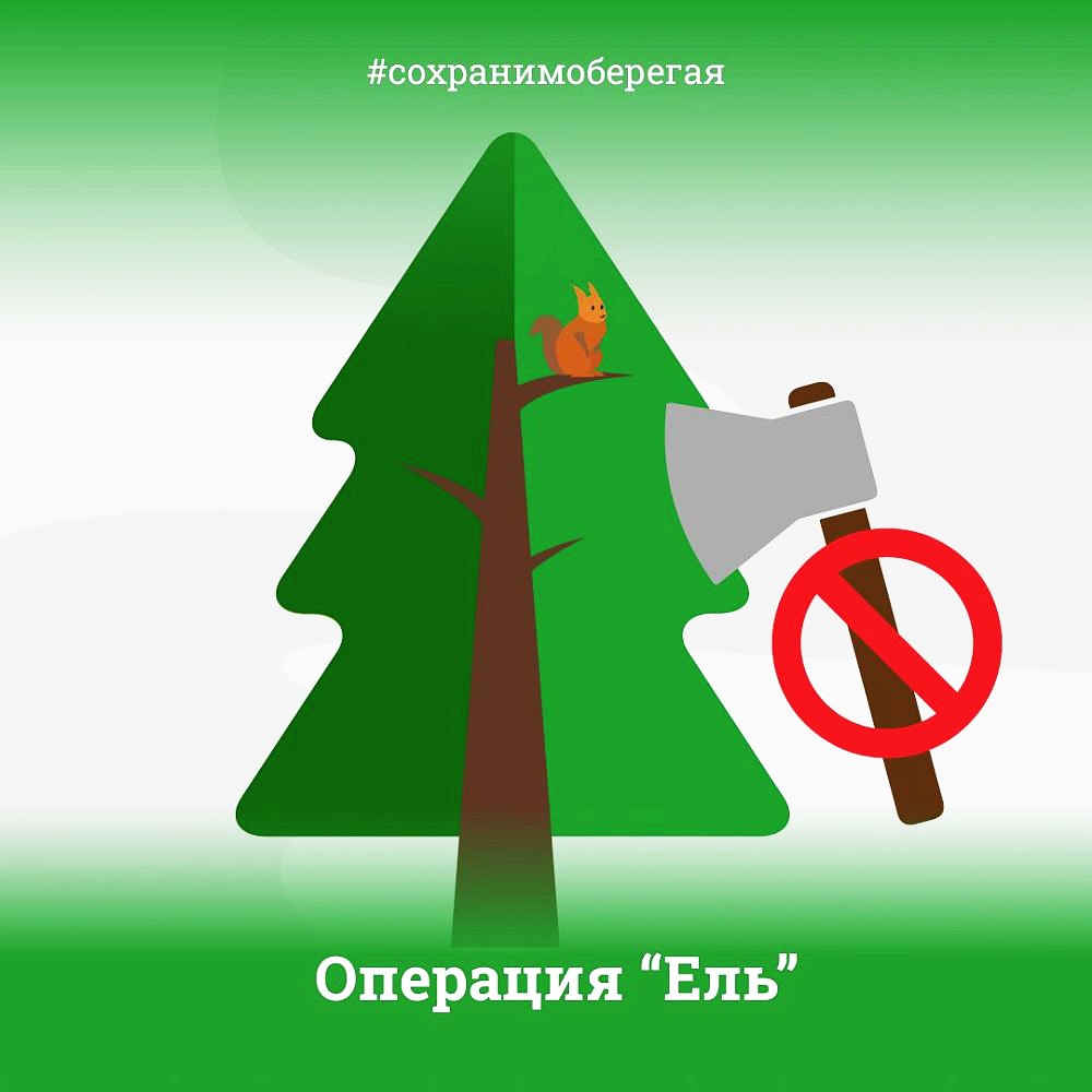 Не рубите, мужики!