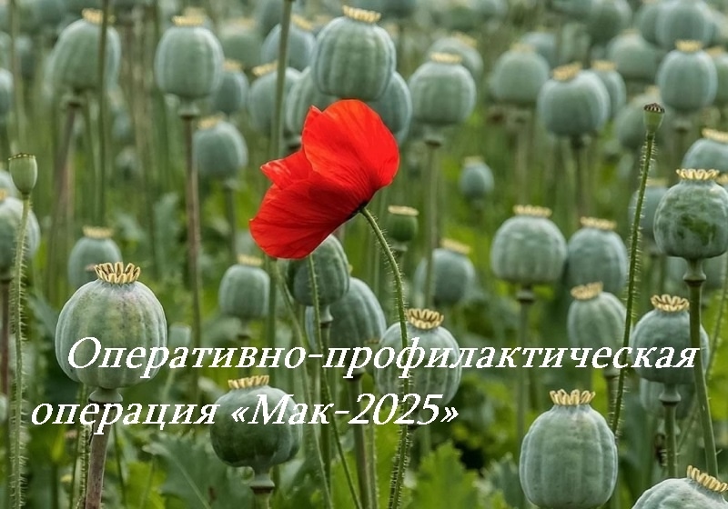 UJ8szqN5FAdT-HoYmWZSvKLfl5UwYASMkSUCgGr2PS0lGTKQ7GKHYO5EDrlCNu_u0Ug4fnGx2HpbxxADN_S3sVcQ.jpg