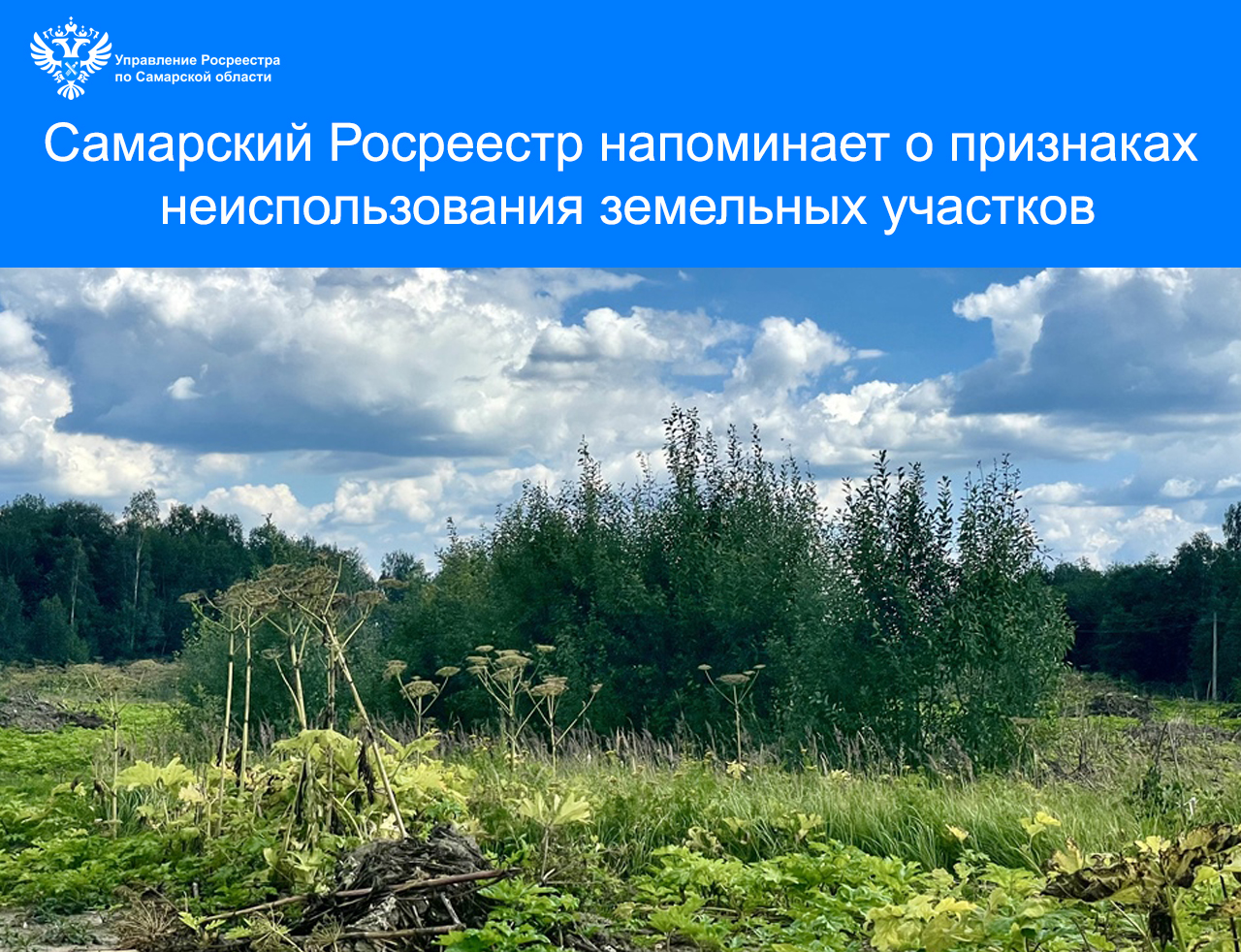    Самарский Росреестр напоминает о признаках неиспользования земельных участков  