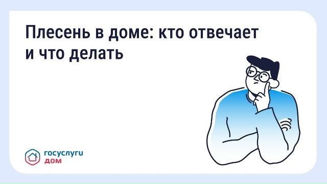 Что делать, если в квартире появилась плесень