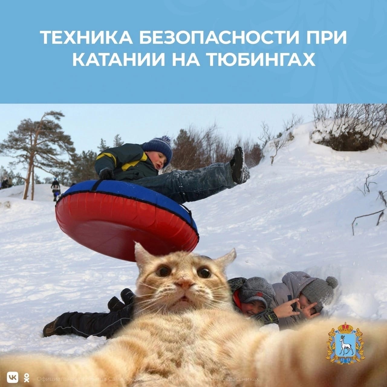 -3GypiIu2a4.jpg