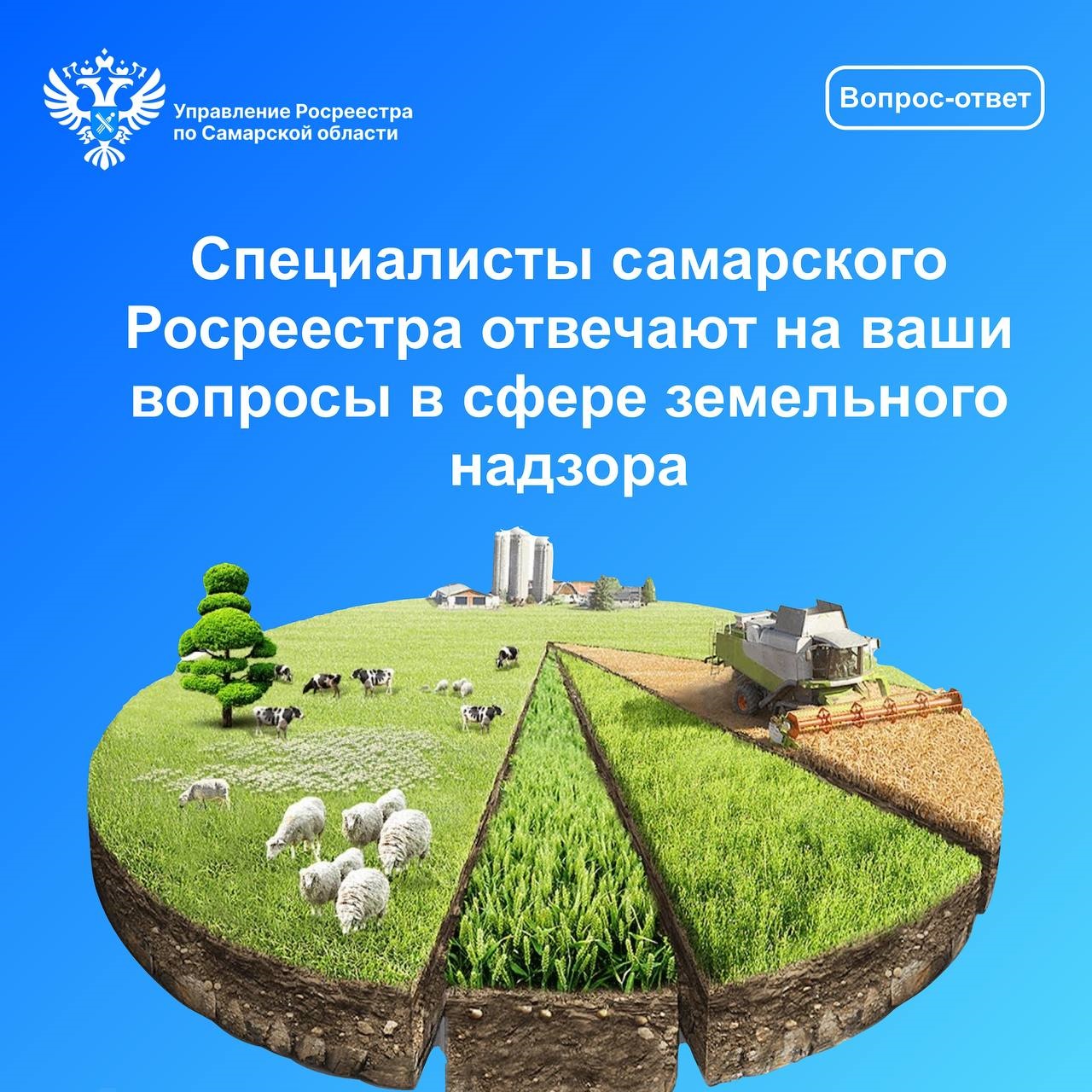 29_Вопрос-Ответ.jpg