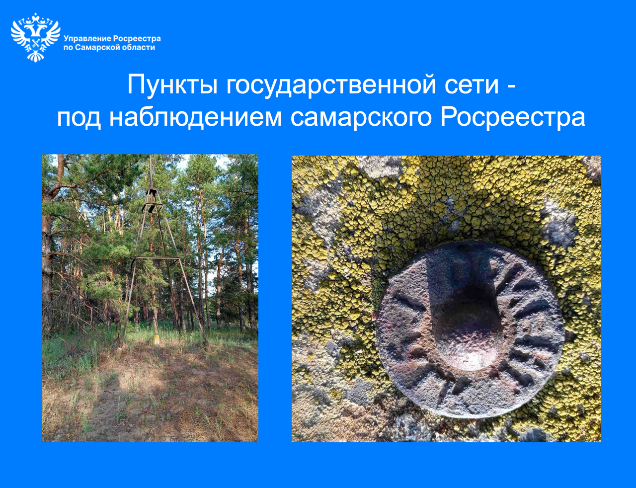 31 _ггс.jpg