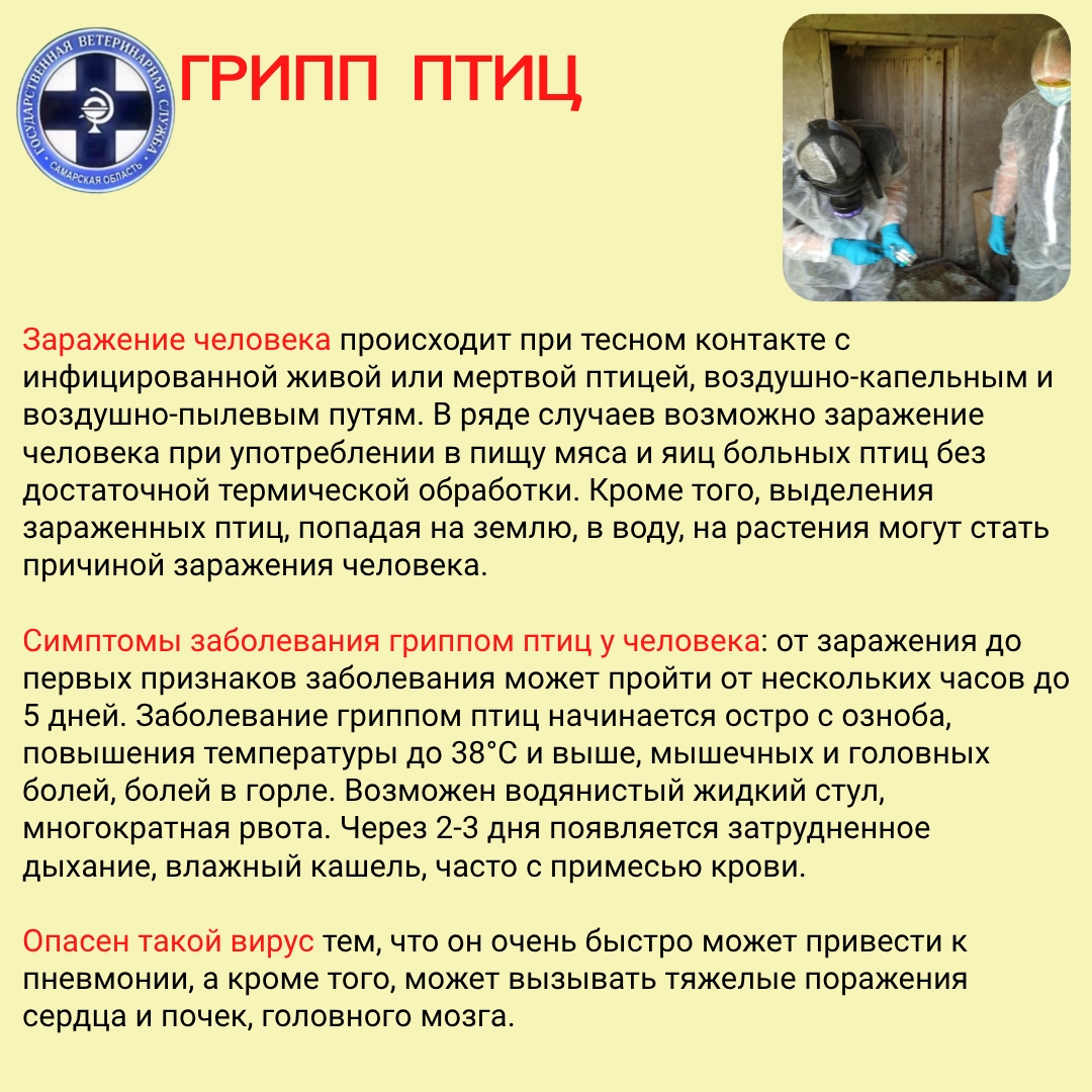 5hDDRHiayFB3xyCGgj2jKa8UhDw2qgTEW9gKcRghetgN0-uTd6TcCZf_Gp-gzlGQb60SnFw5ta-Ad9_H3-RtS0-V.jpg