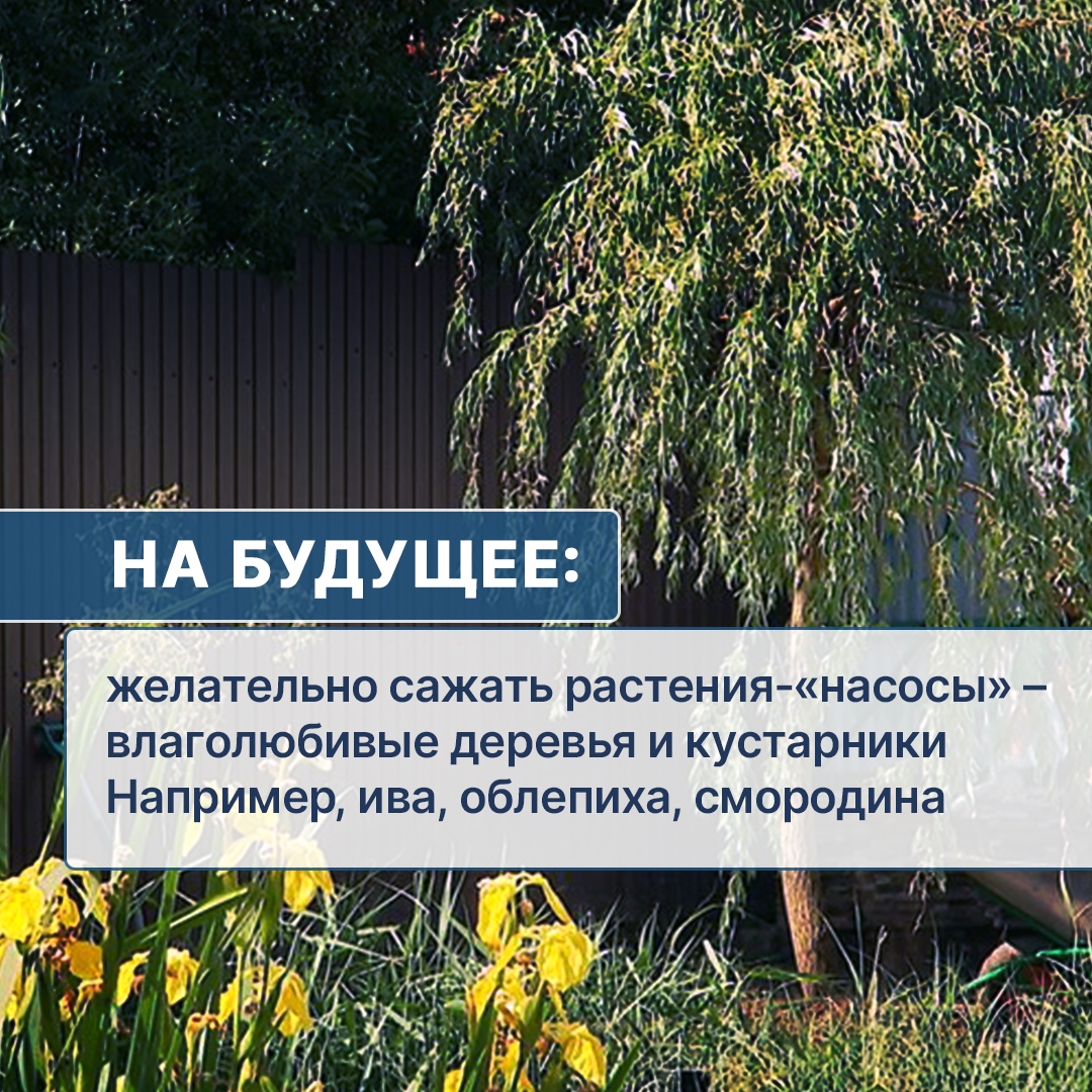 C1h7U5f55yBirdNZUIeOZbaLK8-HRj7XrIjRt9CXIzREC1FO5YarRjQ-E1JnQIZA8fqpkkiJYQ0N867FkNfBEENP.jpg