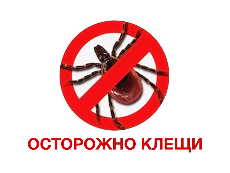 CUvL370Ld_K161rx2DiepzpqmTO7kUEvZjErERz-psD_1buo8uTBZDZ0s7gX5cjP68JdMLF3gBJtf-sf0DTsL0-a.jpg