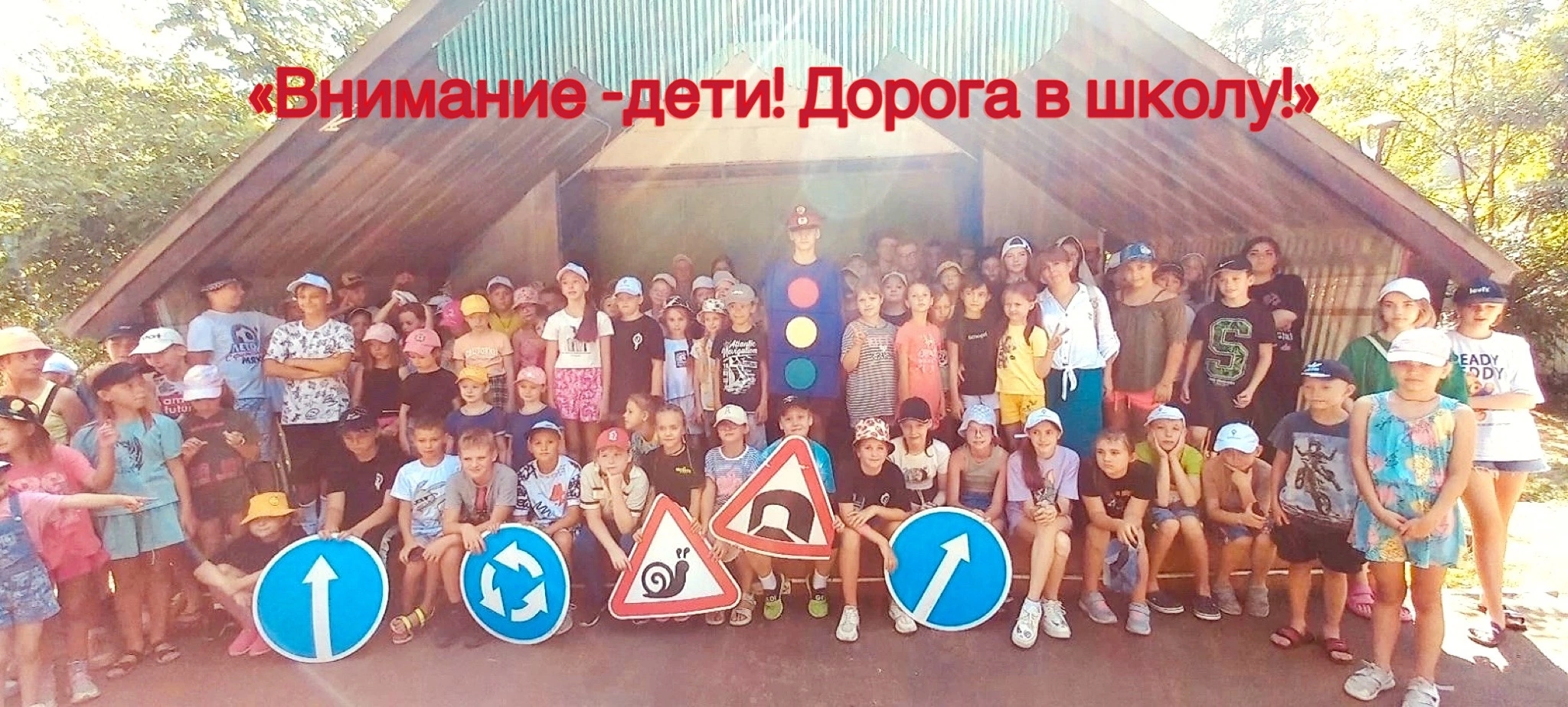IMG_1442.PNG