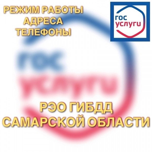 IMG_2665.PNG