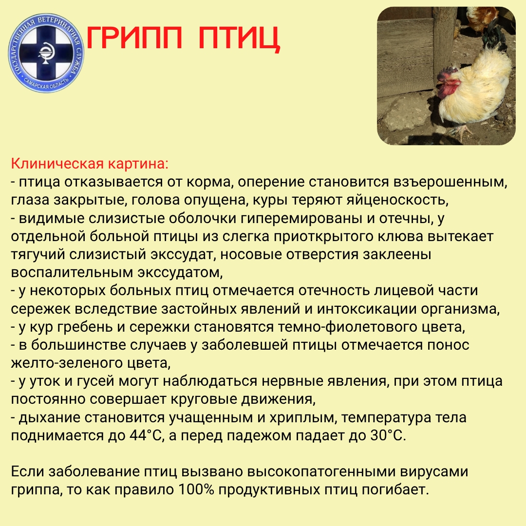 IZbo5fZN3ZNBs3oHnehAfcoDpBJAoJPEbW7jntvrZQFCvR4FiE8Wo2-zpkodNBQGJL6D7aLDzYzRYN0KoES2aSp-.jpg