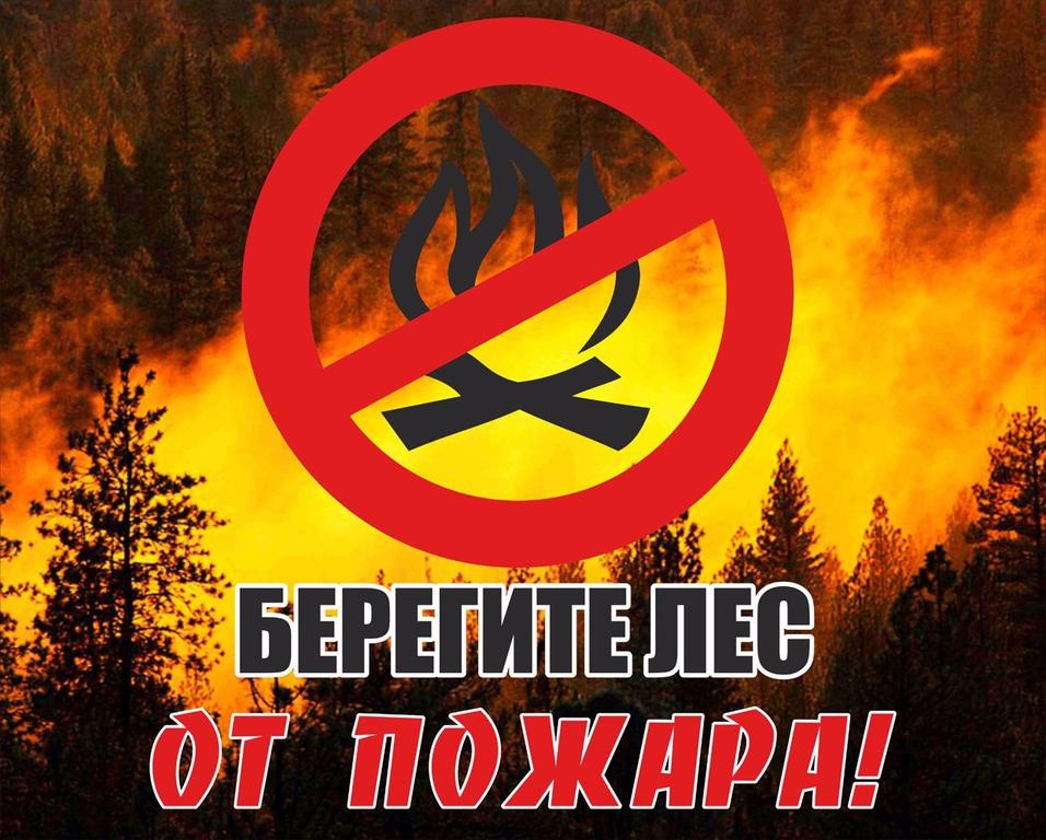 MGwU0fwNOy0.jpg