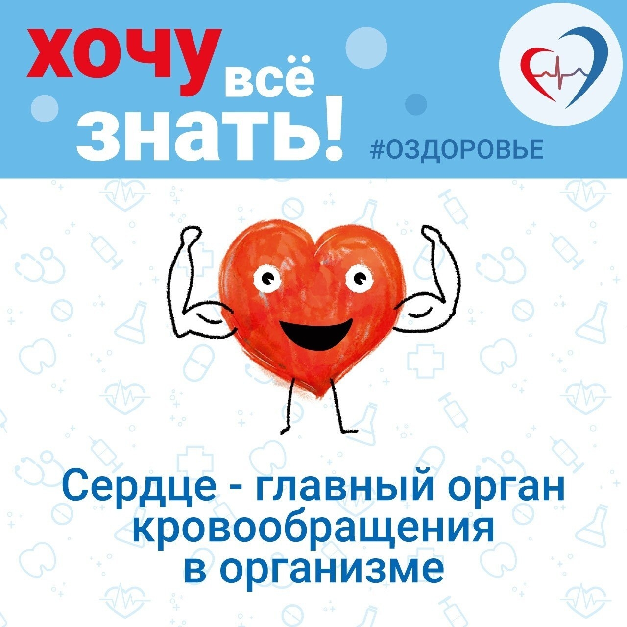 QUEUFhkJzKbkRo3wUXI6hzo2y9pY1sHc9dXW3eqVxOZg0mQnhSECJlL6gwVTlRvG-myMwZwfIj_AXl65a3Ng4Yg7.jpg