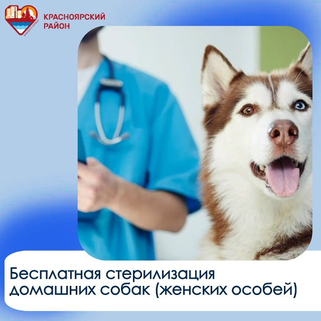 R2AI5pfKdnasecR_J39KqxN-MxGUyISEJTEfV2vb7qIJeCowitId8j38XHps5p2_zf04teYFud1LkPc8fki22DUd.jpg