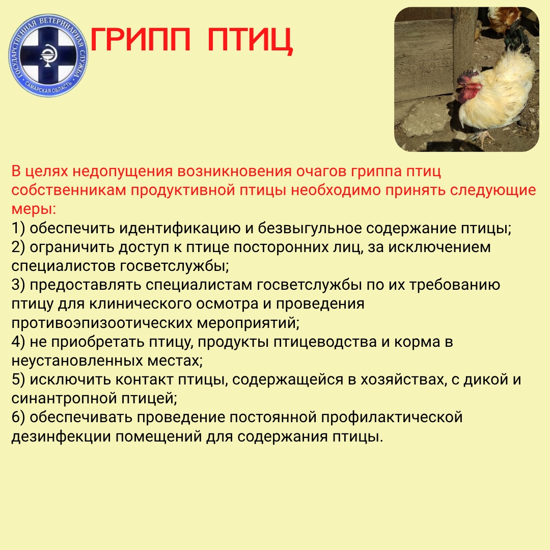 Xe-XeiN3oXO85Tsw1H5Am-qtUZOEk1hrzDUPf942KVocS_m5immv2_wRUMKgZqMpeyGt92cdjFmnOAGHJ8VS8iVb.jpg