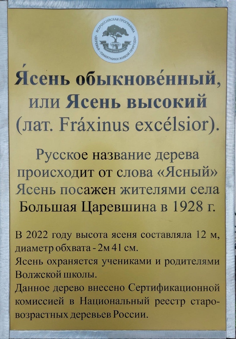 ZTYIOI1fD0M.jpg