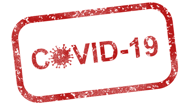 covid-19-g6c5920a98_640.png
