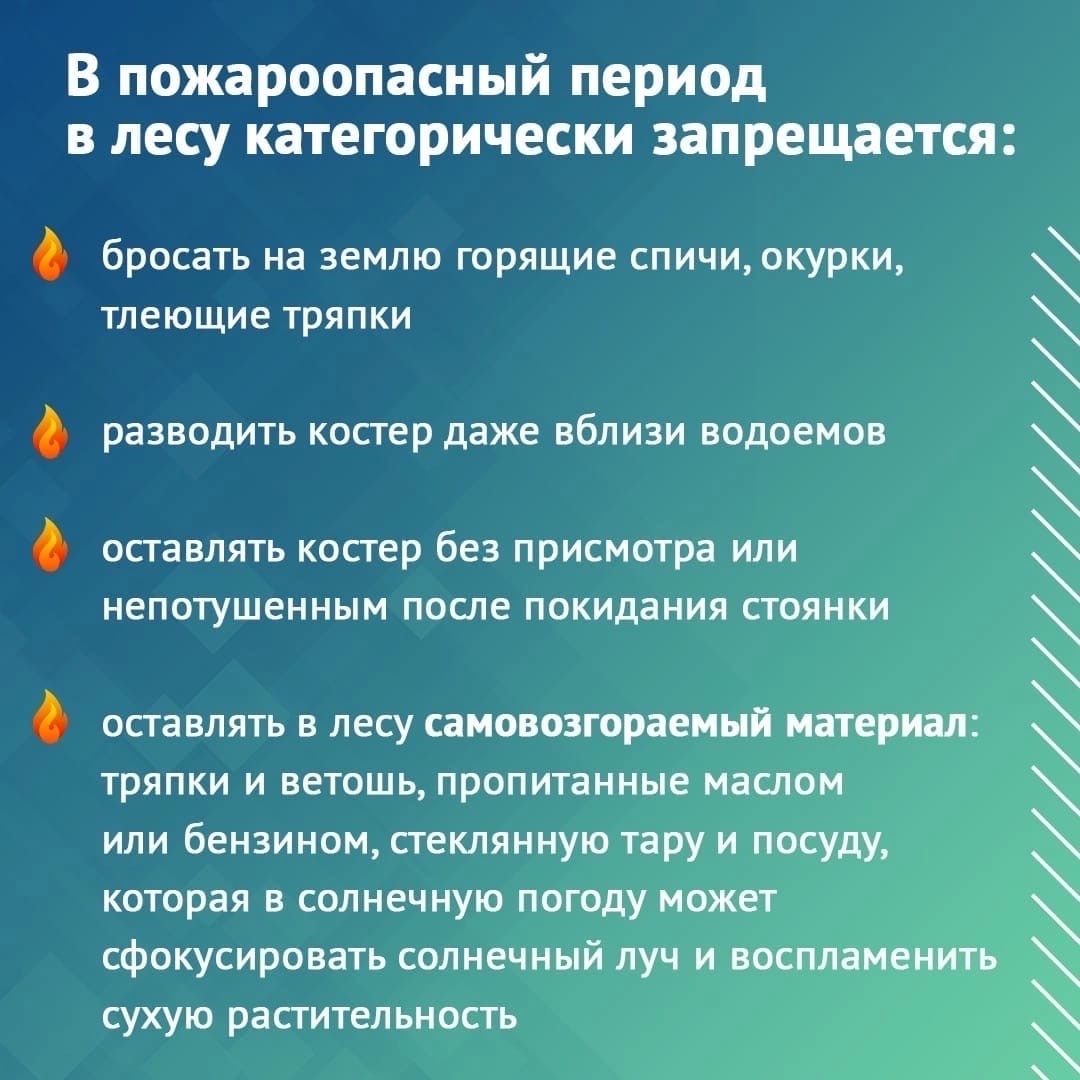 dYbDNZYT3YA.jpg