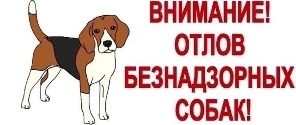 kd_FIybyBAM.jpg