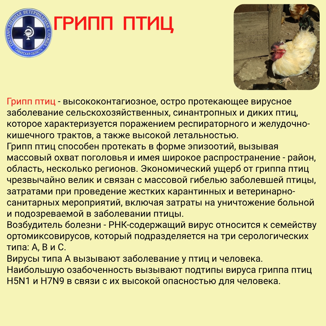 oVJCkIdXbOvRdnxle6Vk942I1PO1ytFOeNqL8IEbHt-AtgW7UYxbRerUhaUvQA7xB8r04VNEUEr2J-cQocTMEWGA.jpg
