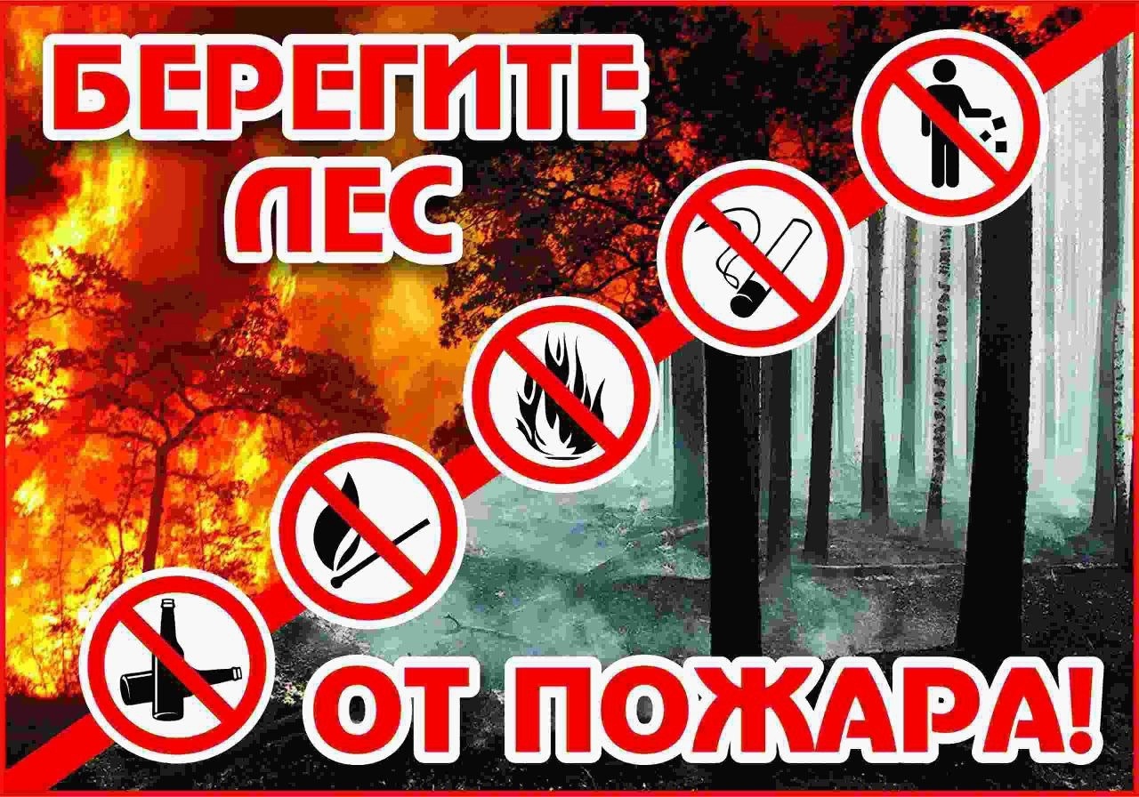 okOfbekjbeI.jpg