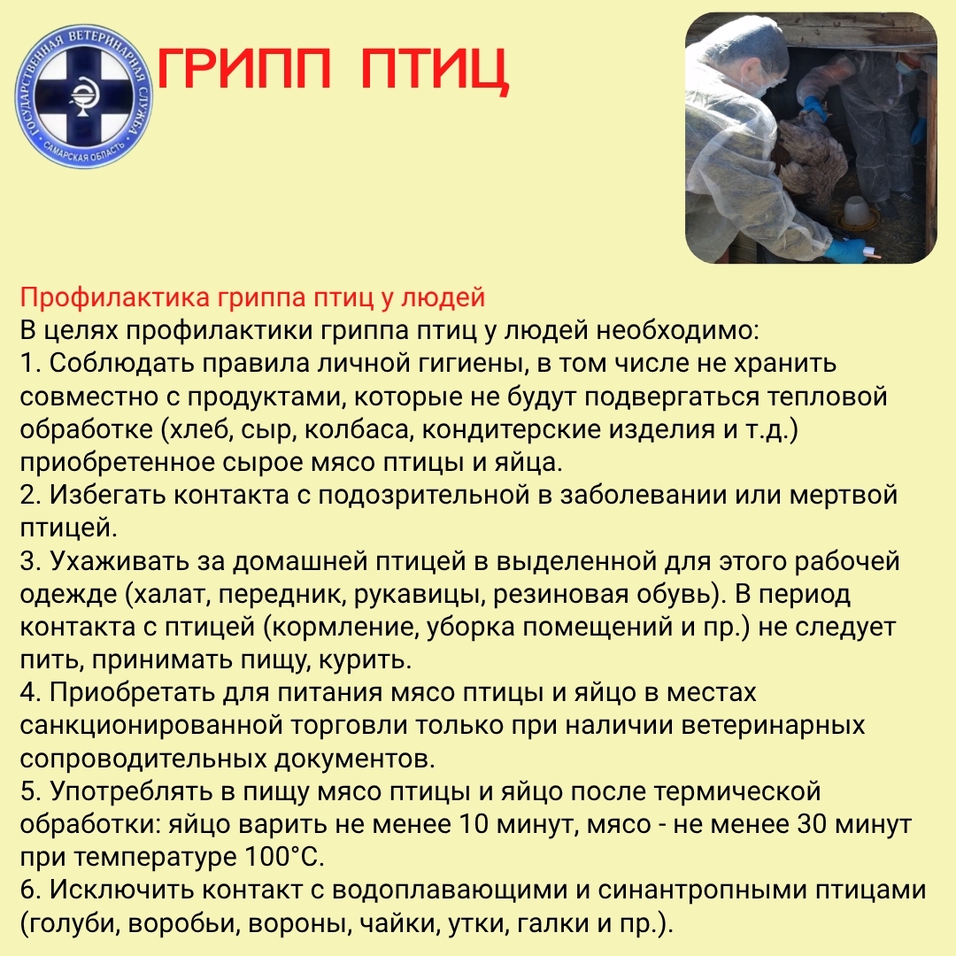 pg1VE3MSAk8nnDcQvBITK-KoxBWkT4_HGWsXEaRdrO9BIUZzTfBPoWb-qfomNU7FKm4ghTlFjj9Vjv20B5rL4DOt.jpg