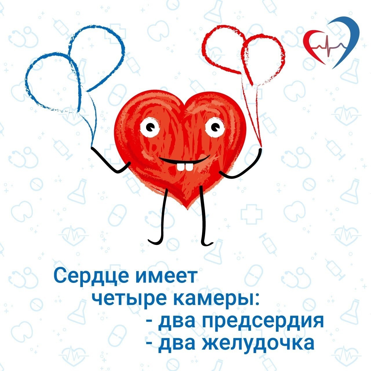 sw5M1U7UMjbt44lJ7DxjYlbRWJxOe-0UH-mSzEWp9E94C3cnCA87A8lOd5dw5xZAVUCAS2xIbXT-PjTF_lHvXbDq.jpg