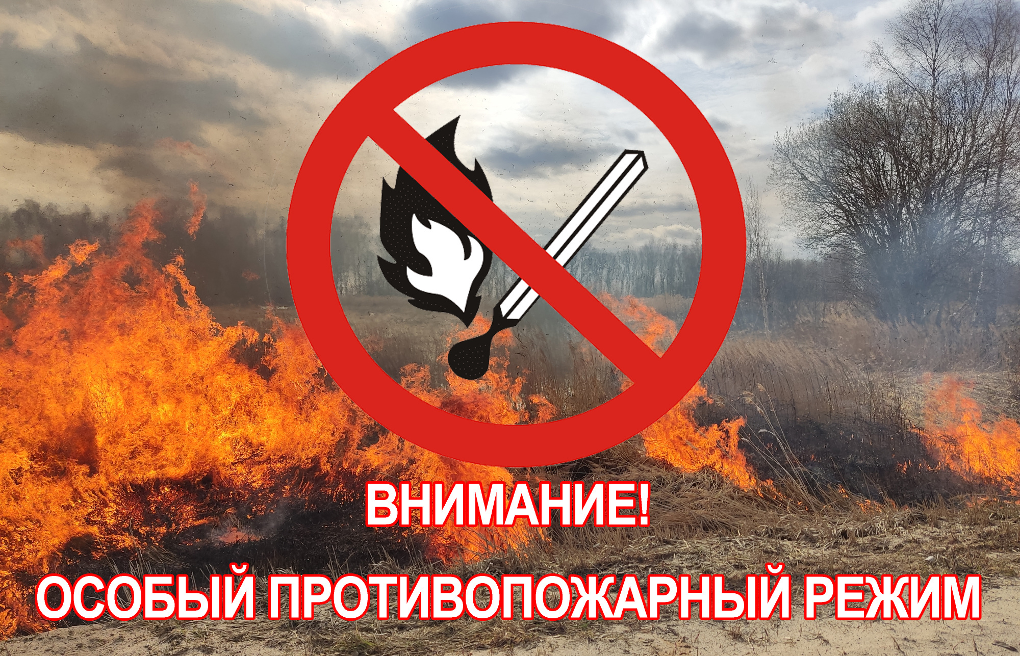 v-dvuh-municipalnyh-obrazovaniyah-kostromskoy-oblasti-vveden-osobyy-protivopozharnyy-rezhim_16505298551007115922__2000x20004а5455.jpg