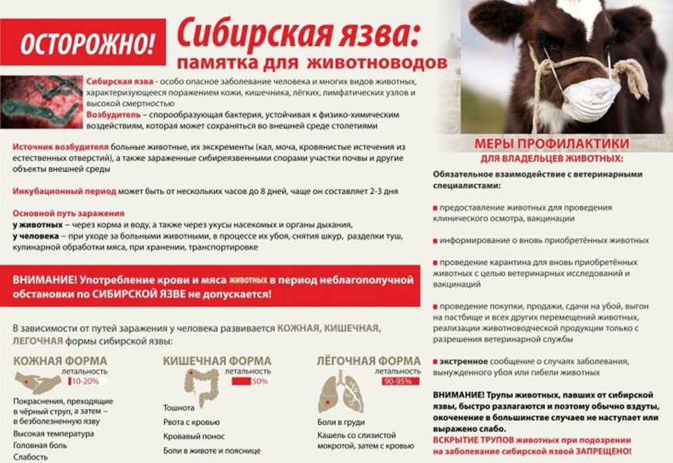 Брошюра Сибирская Язва