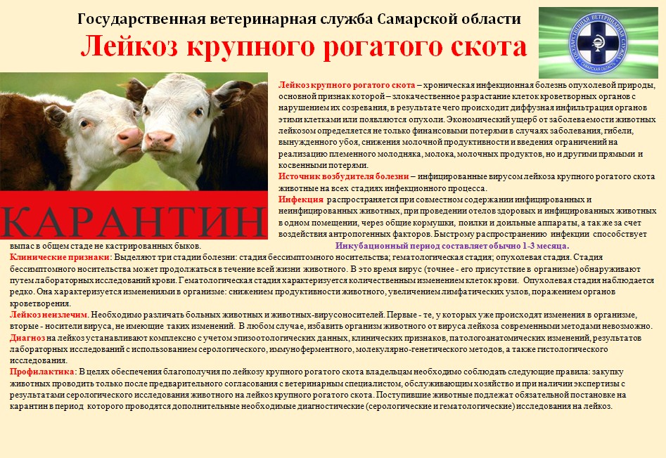 Скриншот 05 05 2023 100518