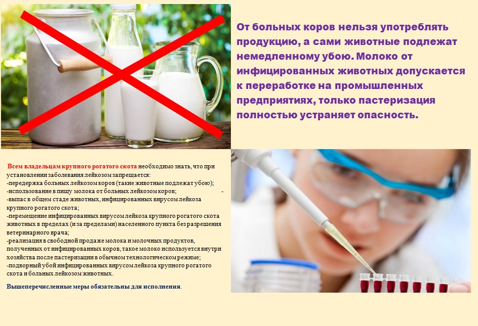 Скриншот 05 05 2023 100539