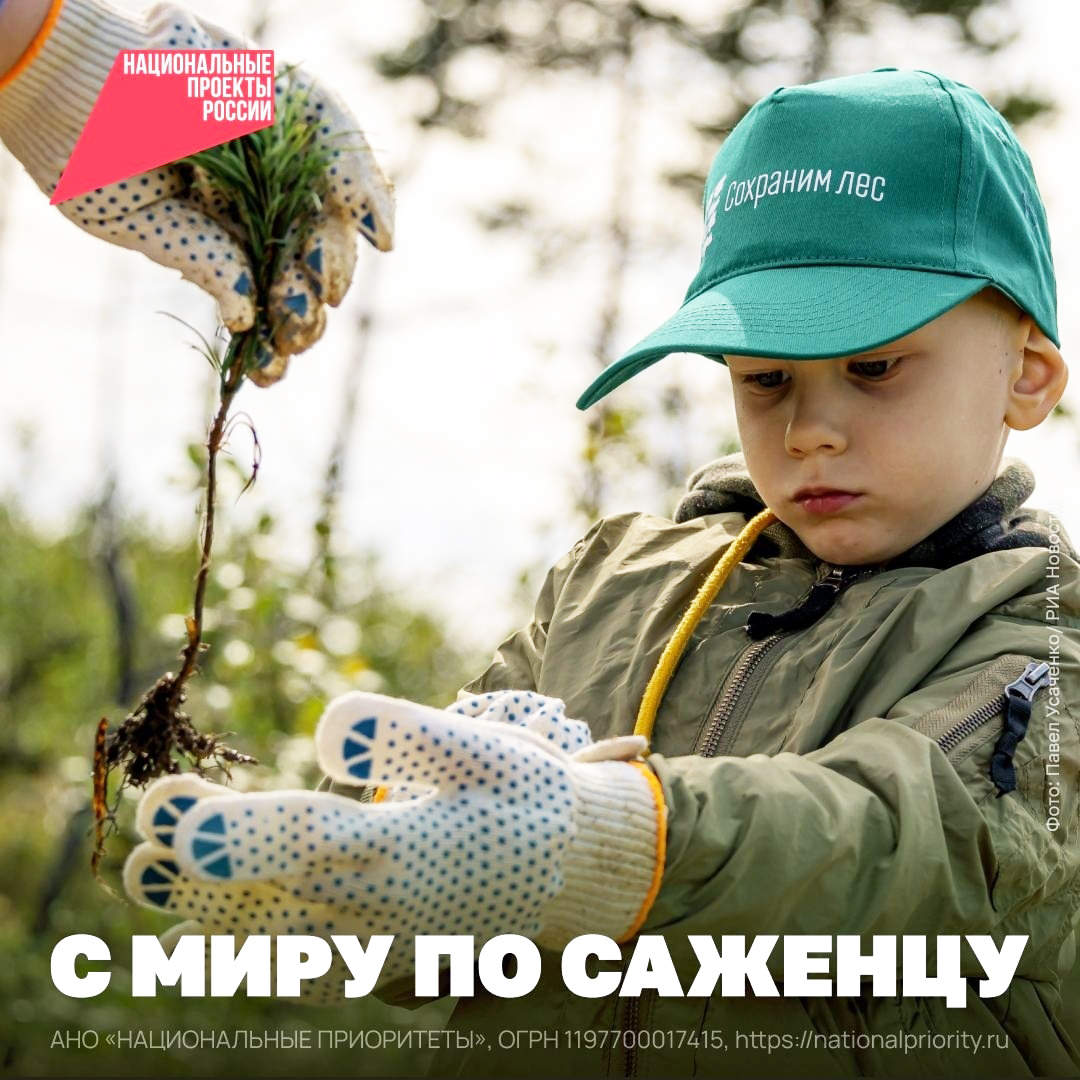 Сохраним лес