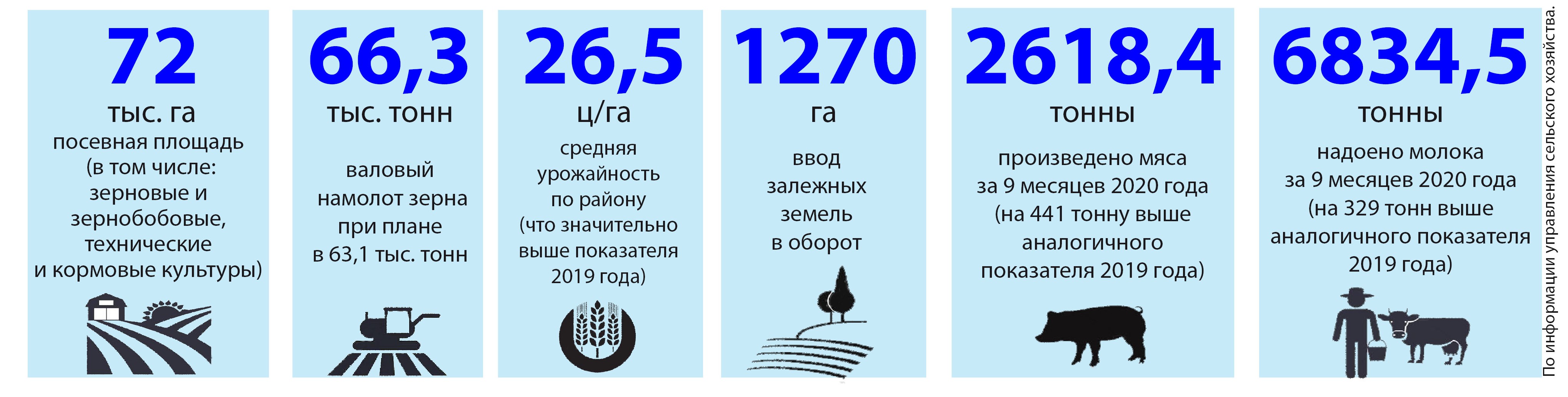 01 полоса.jpg