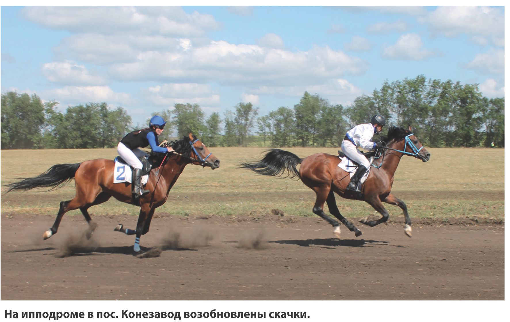 8 полоса_013.png