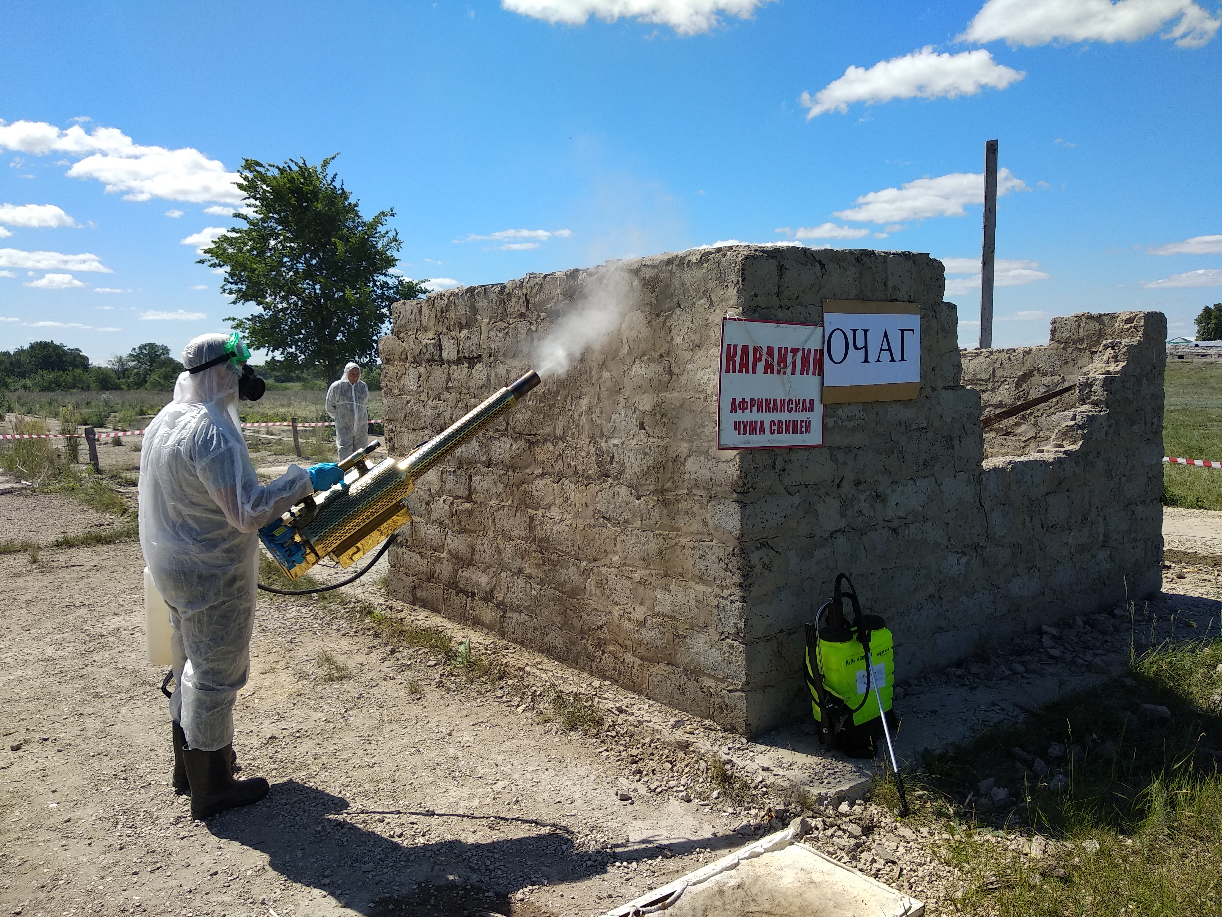 IMG_20210618_110109.jpg