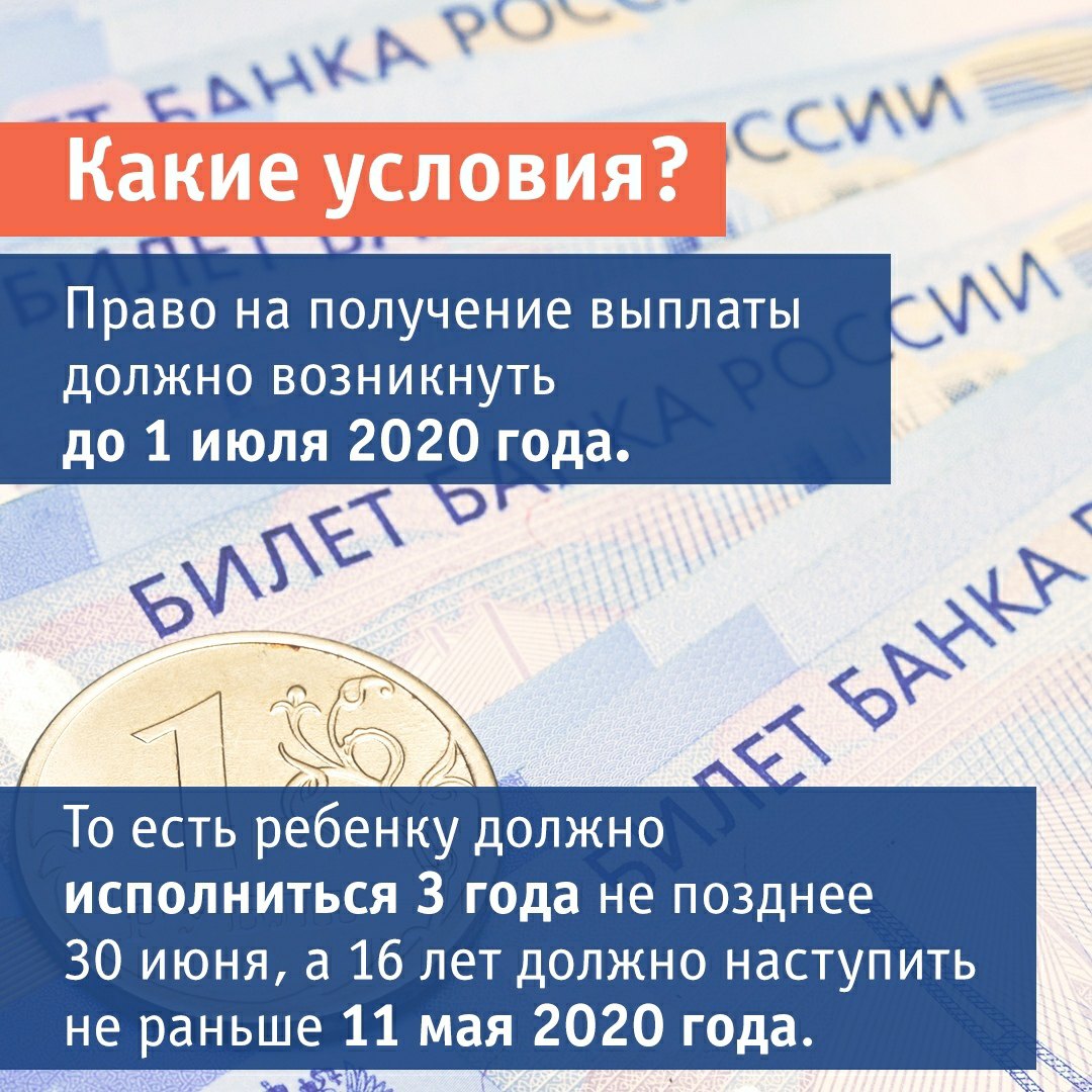 YlPT6xC 8EU