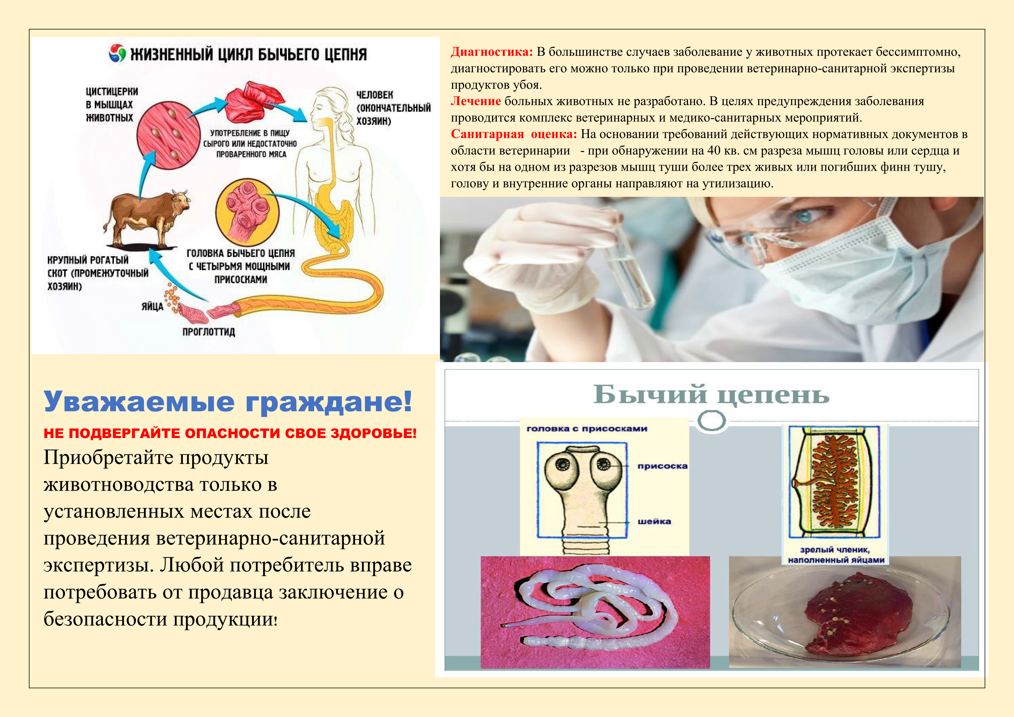 cist_01.png