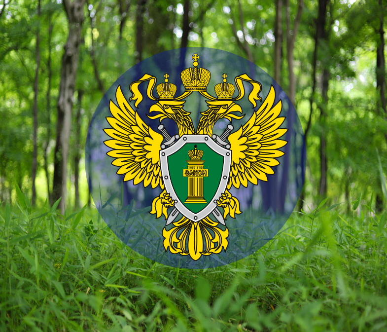 my-visual_50612504 (8).png