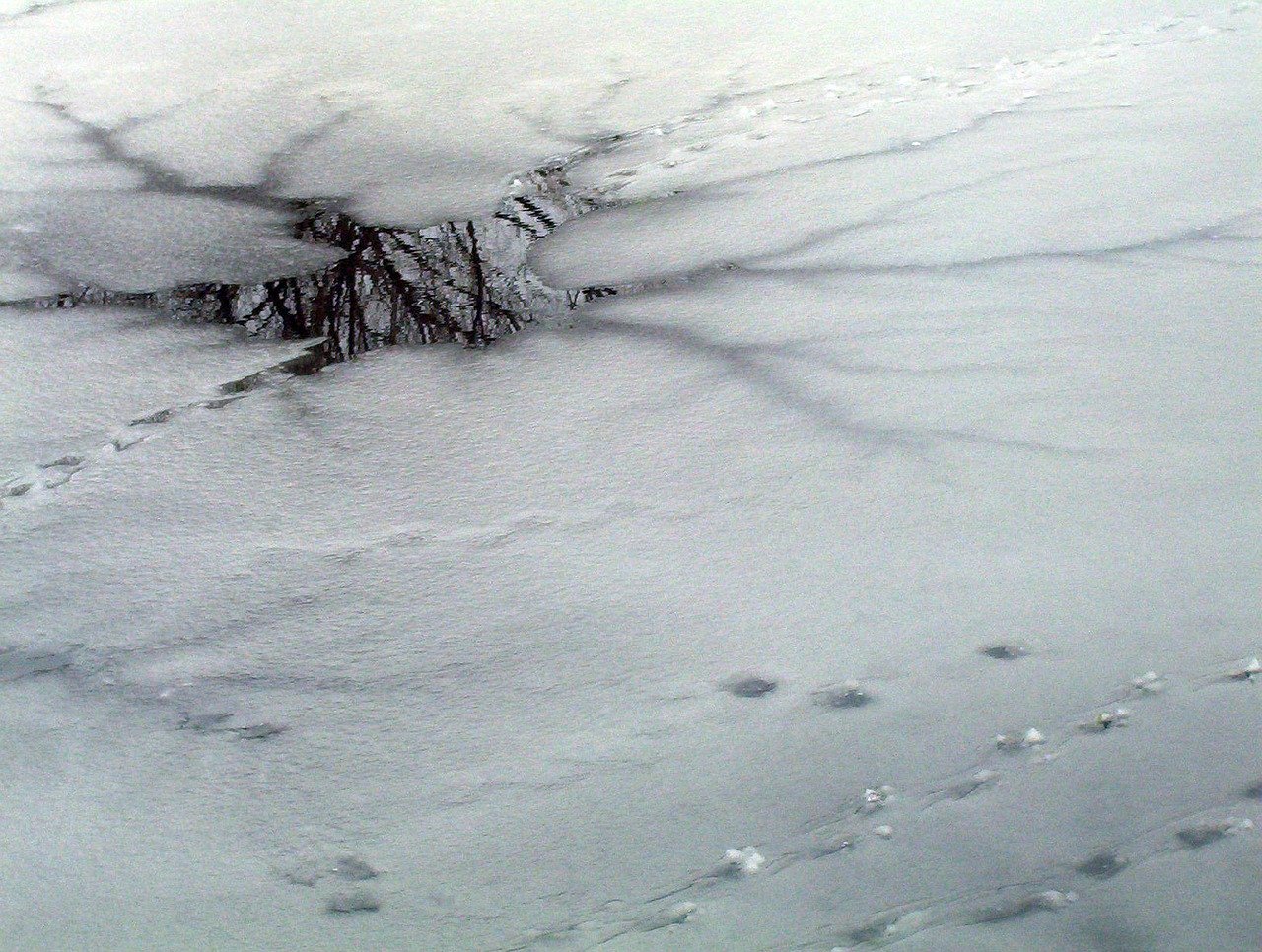 thin ice 17996 1280