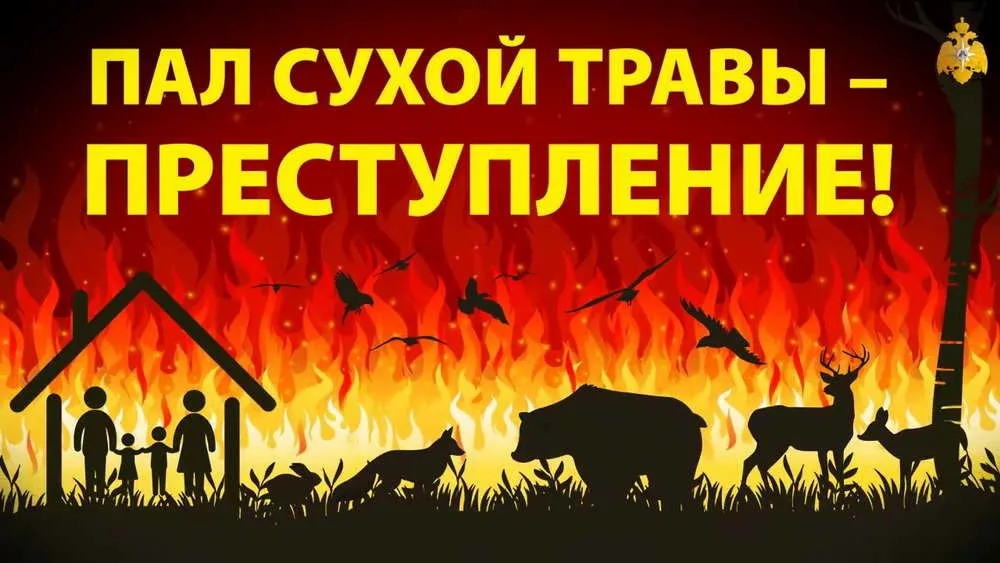 Помните и соблюдайте требования пожарной безопасности, которые являются залогом Вашей жизни и Вашего имущества.