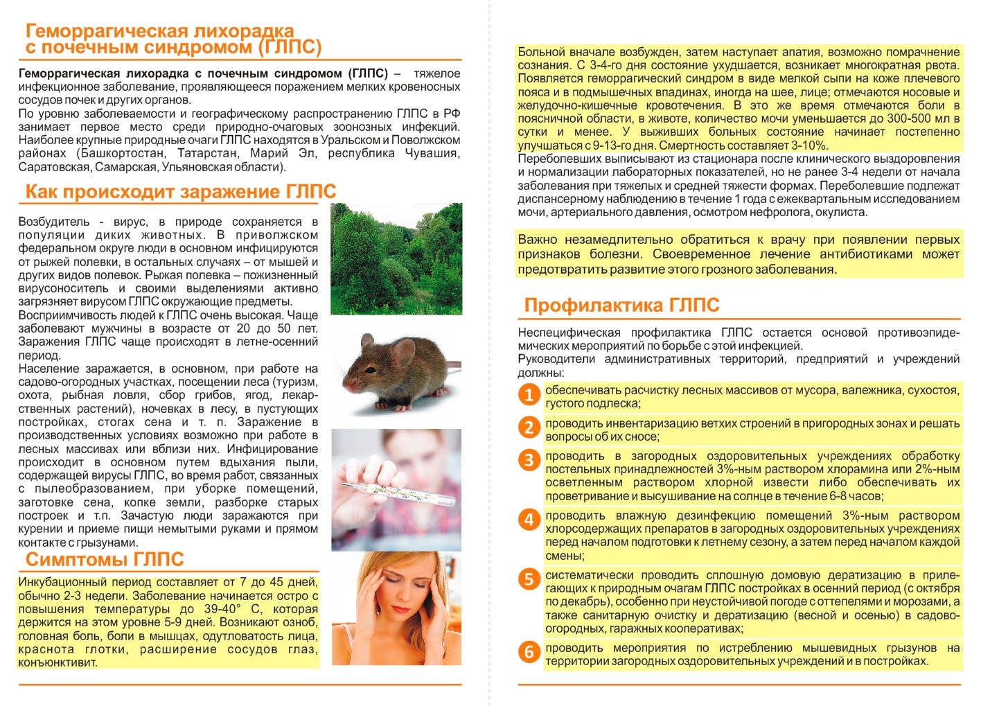 геморрагическая лихорадка с почечным синдромом copy