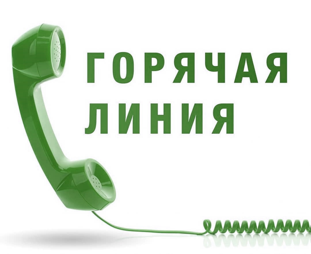 горячая линия